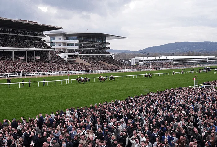 Cheltenham Festival Crowd Cheltenham Festival Crowd